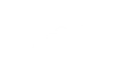 Pegasus® Βάρη Βινυλίου - 3 kg (τεμάχιο) - Image 3