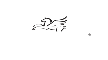 Μασάζ Ρεύματος με Βάση Pegasus® FC-6011 - Image 4