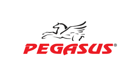 Διάδρομος Γυμναστικής Pegasus® "Slim" ΜT-1051 2.0HP - Image 9