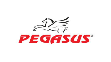 Διάδρομος Γυμναστικής Pegasus® "Elegant" MT-251 3.0HP - Image 9