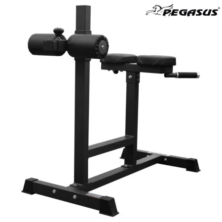 Πάγκος ραχιαίων Pegasus® HCLT-5006 - Image 1