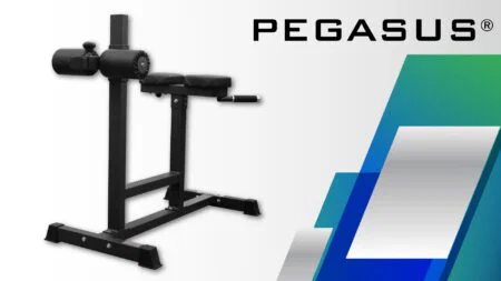Πάγκος ραχιαίων Pegasus® HCLT-5006 - Image 4