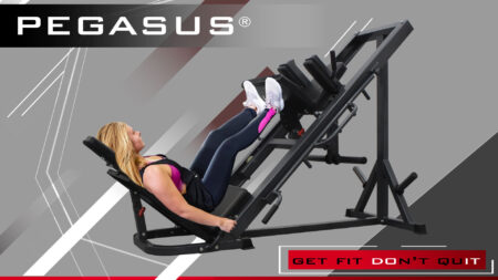 Pegasus Πρέσα ποδιών - Hack Squat - Image 4