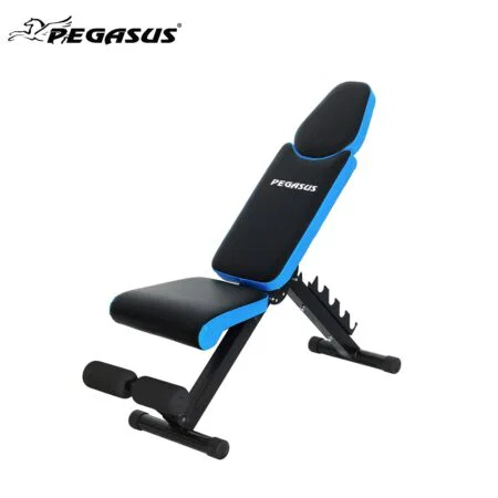 Πάγκος Ρυθμιζόμενος Pegasus® JX-503B (Αναδιπλούμενος) - Image 1