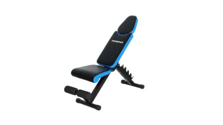 Πάγκος Ρυθμιζόμενος Pegasus® JX-503B (Αναδιπλούμενος) - Image 2