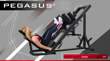 Pegasus Πρέσα ποδιών - Hack Squat - Image 2