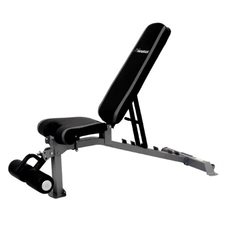 Πάγκος Ρυθμιζόμενος Pegasus® VB - Image 3