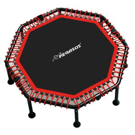 Pegasus® Τραμπολίνο 48" (122cm) - Image 1