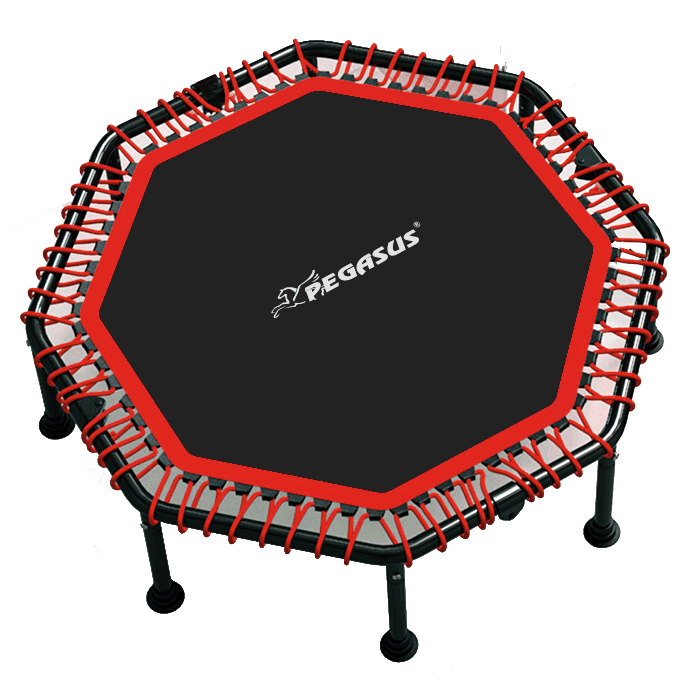 B4503_4d7763d6-f4d7-4881-b4d4-379a01f6849f