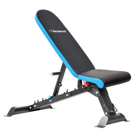 Πάγκος Ρυθμιζόμενος Pegasus® JX-509G (Αναδιπλούμενος) - Image 1