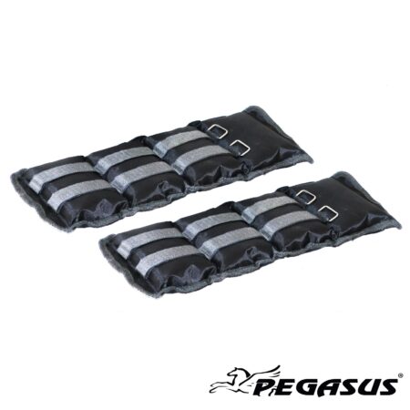 Pegasus® Βάρη Άκρων (2.0kg - Zεύγος) - Image 1