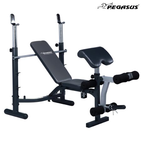 Πολυπάγκος Βαρών Pegasus® JX-764 - Image 1