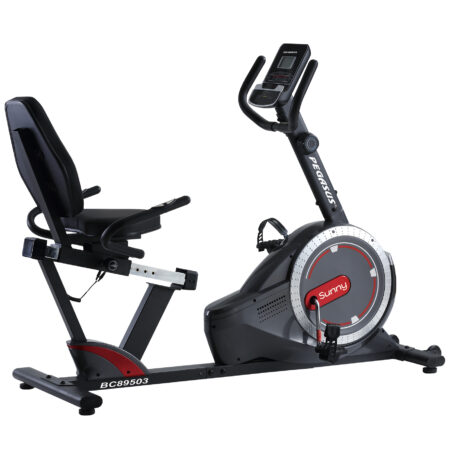 Καθιστό Ποδήλατο Pegasus® "Sunny" BC-89503-RD - Image 1