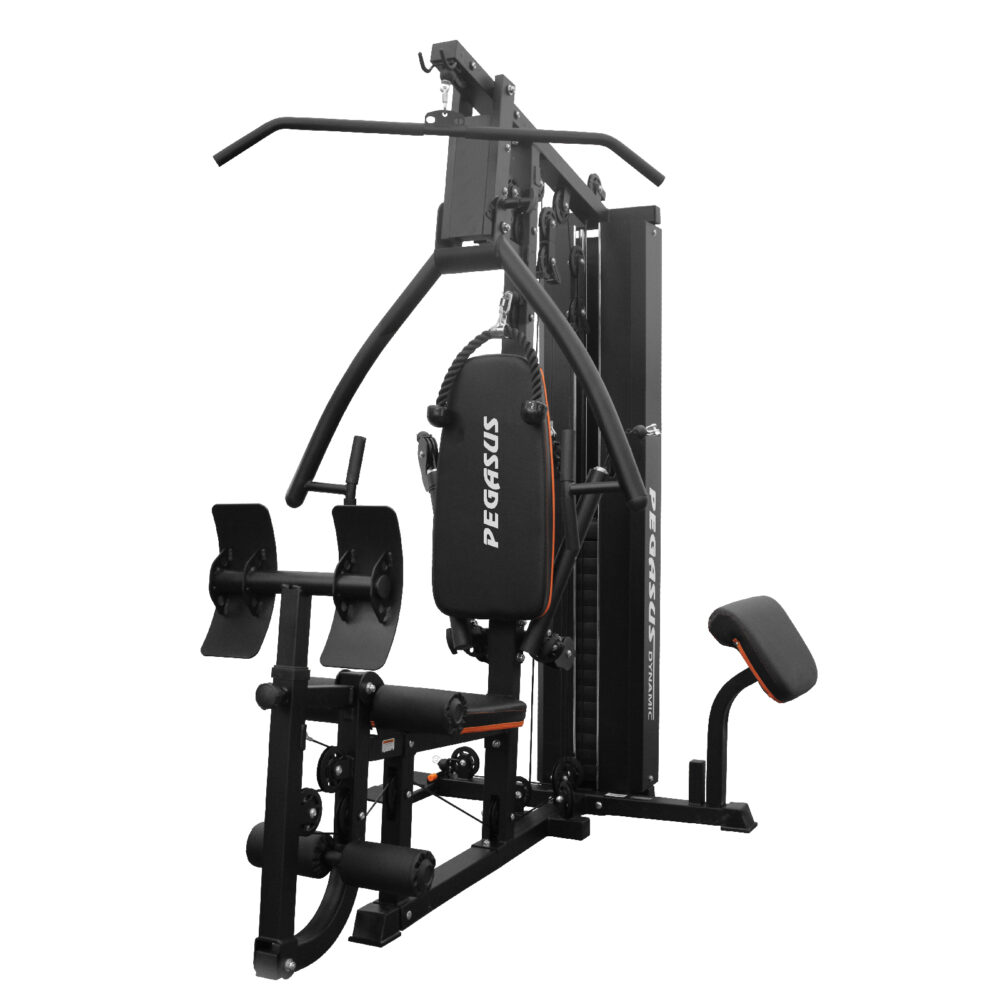 Pegasus_JX-DS916_-_Front-Page-2_0ce40919-dc93-40f4-b1a6-7480501aeb83