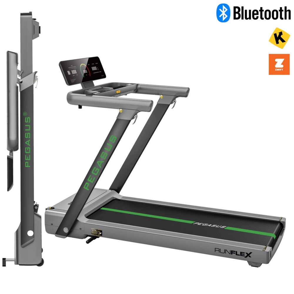 Pegasus_RunFlex_main_ff8de9c4-a222-4030-9e8b-7a9fdd3715f6