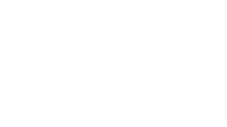 Pegasus® Ρόδα Κοιλιακών (διπλή) - Image 4