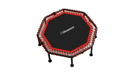 Pegasus® Τραμπολίνο 48" (122cm) - Image 2