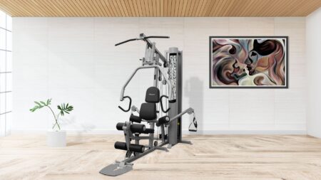 Πολυόργανο Pegasus® HG6 - Image 2