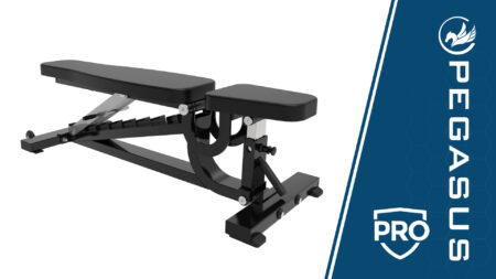 Ρυθμιζόμενος Πάγκος "Pegasus" - Image 2