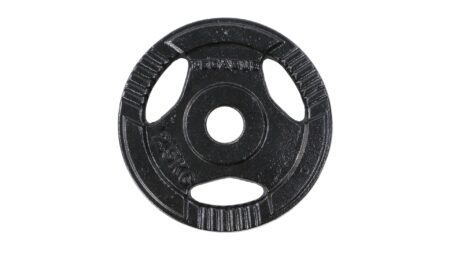 Ελεύθερα Βάρη Δίσκος Σφυρήλατος Ø29 (20 kg) - Image 2