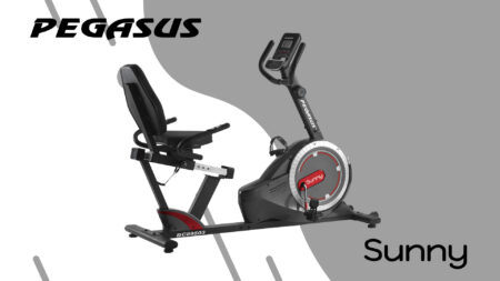 Καθιστό Ποδήλατο Pegasus® "Sunny" BC-89503-RD - Image 2