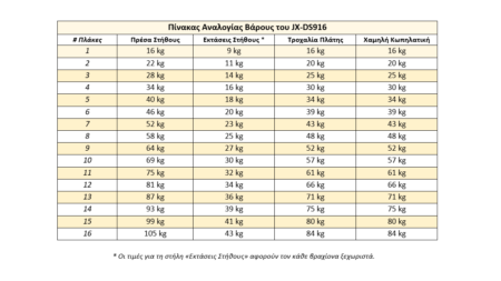 Πολυόργανο Pegasus® JX-DS916 - Image 9