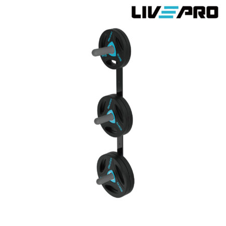 Κάθετη Επιτοίχια Βάση για Δίσκους - Image 1