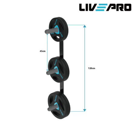 Κάθετη Επιτοίχια Βάση για Δίσκους - Image 3