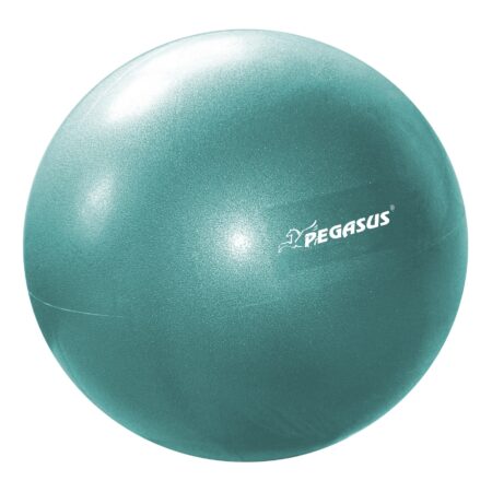 Pegasus® Μπάλα Γυμναστικής Pilates 25cm (Μωβ) - Image 1