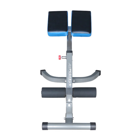 Pegasus® Πάγκος Ραχιαίων LRK-904 - Image 5