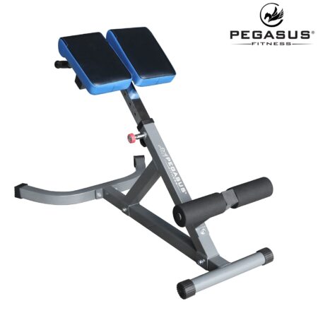 Pegasus® Πάγκος Ραχιαίων LRK-904 - Image 1