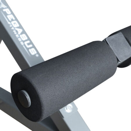 Pegasus® Πάγκος Ραχιαίων LRK-904 - Image 8