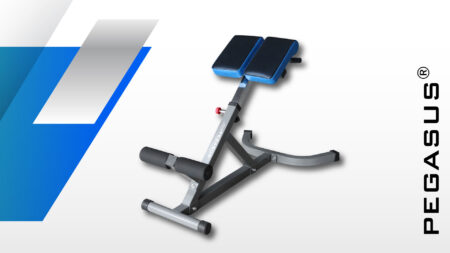 Pegasus® Πάγκος Ραχιαίων LRK-904 - Image 2