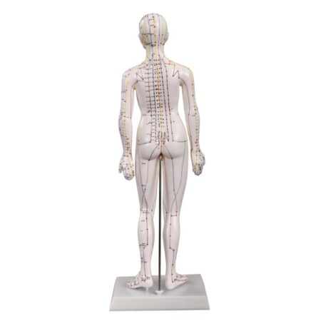 TCM POLAND ΓΥΝΑΙΚΕΙΟ ΠΡΟΠΛΑΣΜΑ 48CMDANCZ48 TCM Poland - Image 2