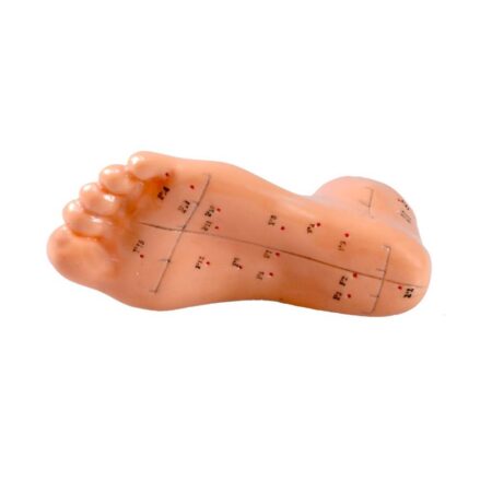 TCM POLAND ΠΡΟΠΛΑΣΜΑ ΠΟΔΙΟΥ ΓΙΑ ΒΕΛΟΝΙΣΜΟTCMFOOTM TCM Poland - Image 2