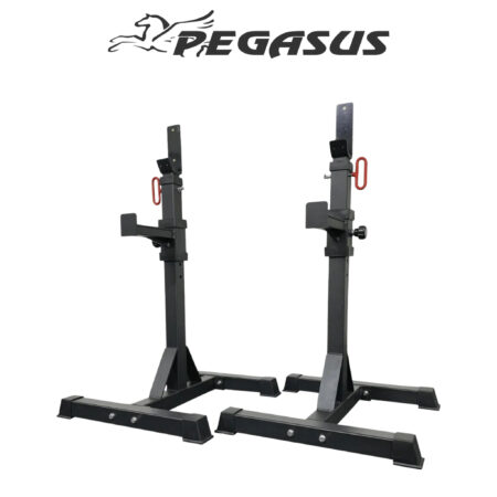 Pegasus® Ρυθμιζόμενοι Ορθοστάτες (OK0043B) - Image 4