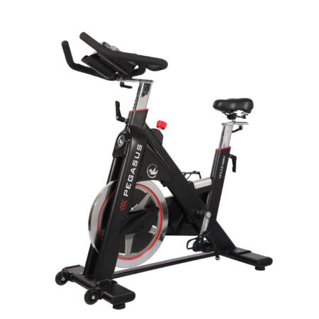 Ποδήλατο Pegasus® Spin Bike PG5 - Image 3