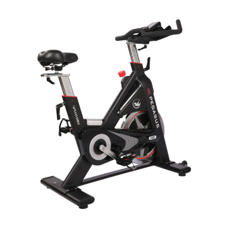 Ποδήλατο Pegasus® Spin Bike PG5 - Image 6