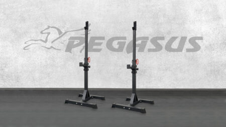 Pegasus® Ρυθμιζόμενοι Ορθοστάτες (OK0043B) - Image 2