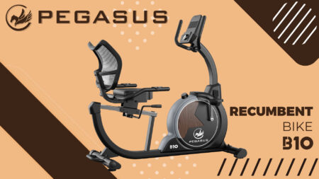 Pegasus® Καθιστό Ποδήλατο B10 - Image 2