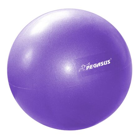 Pegasus® Μπάλα Γυμναστικής Pilates 25cm (Μωβ) - Image 1