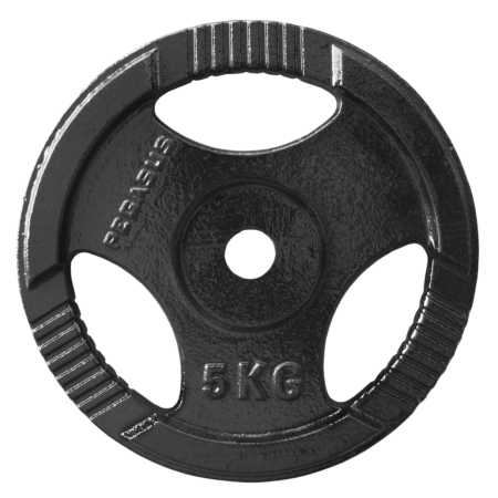 Ελεύθερα Βάρη Δίσκος Σφυρήλατος Ø29 (20 kg) - Image 7