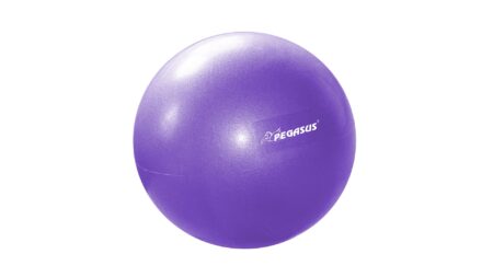 Pegasus® Μπάλα Γυμναστικής Pilates 25cm (Μωβ) - Image 2