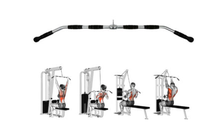 Pegasus® Λαβή Πλάτης  PG-1134 - Image 7