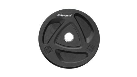 Ολυμπιακός Δίσκος με Λάστιχο (10 kg) - Image 8