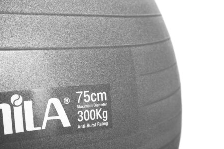 Μπάλα γυμναστικής AMILA GYMBALL 75cm Γκρι - Image 11