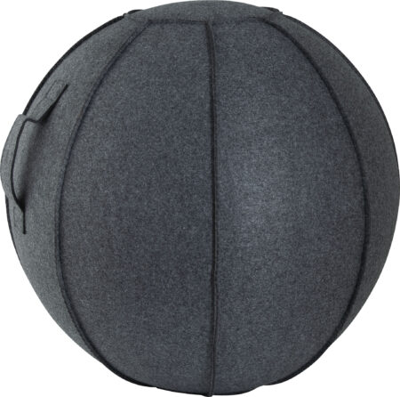 Κάλυμμα για Μπάλα Γυμναστικής AMILA GYMBALL 75cm - Image 10