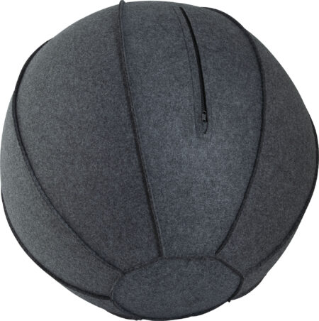 Κάλυμμα για Μπάλα Γυμναστικής AMILA GYMBALL 75cm - Image 11