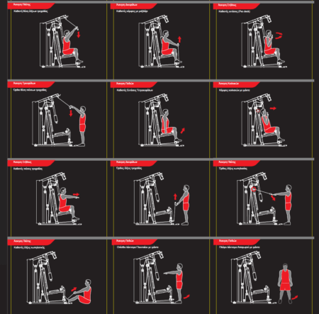Πολυόργανο Pegasus® MS-600 - Image 10