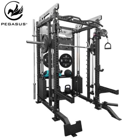 Pegasus® PG-2000 All-In-One Trainer - Image 1
